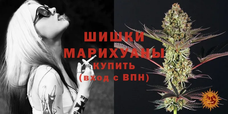 Каннабис White Widow  купить   МЕГА как войти  Закаменск 